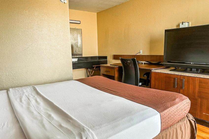 King Bed Accessible - foto 37