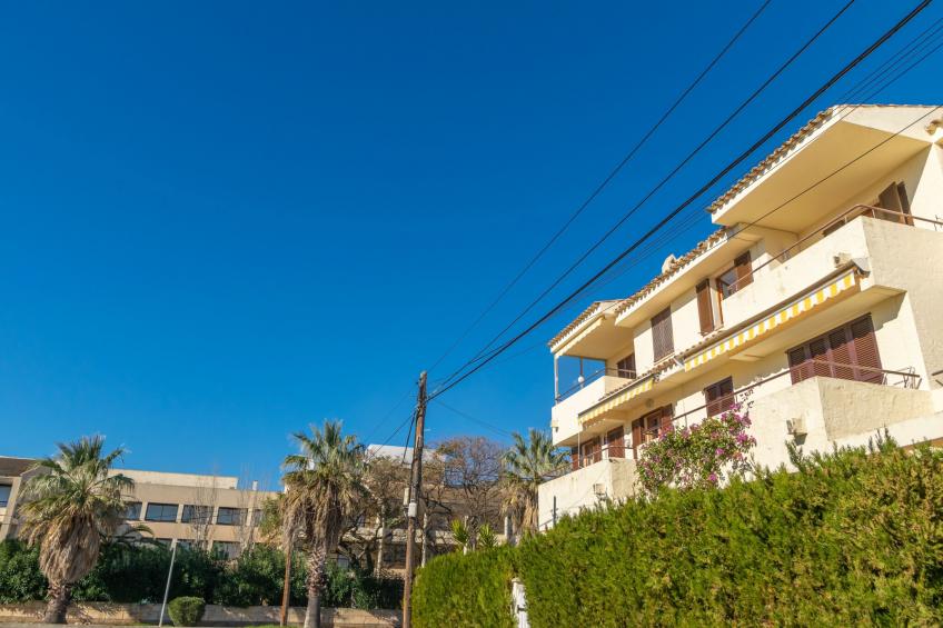 La Llimona - foto 29