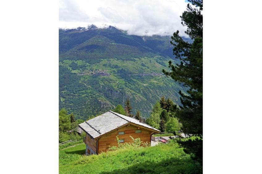 Chalet Perle des Collons