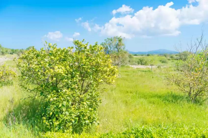 Casa Holganza - foto 26