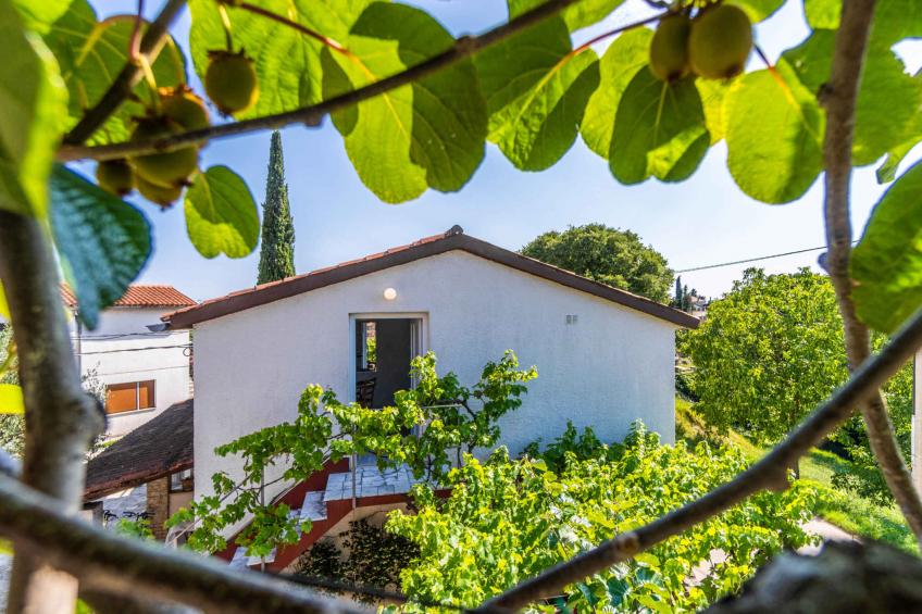 Holiday apartment with air conditioning - BF-RWWV2 - foto 14