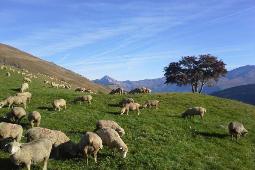 Residence Le Hameau de Valloire - foto 17