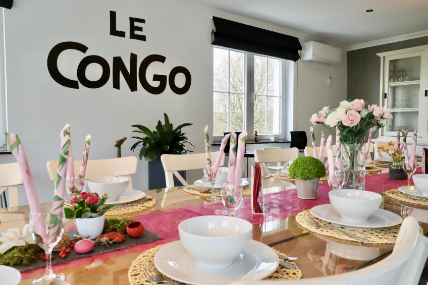 Le Congo - foto 3