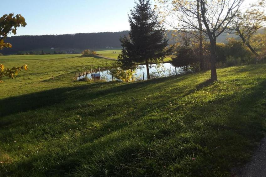 am Regelsbach - foto 41