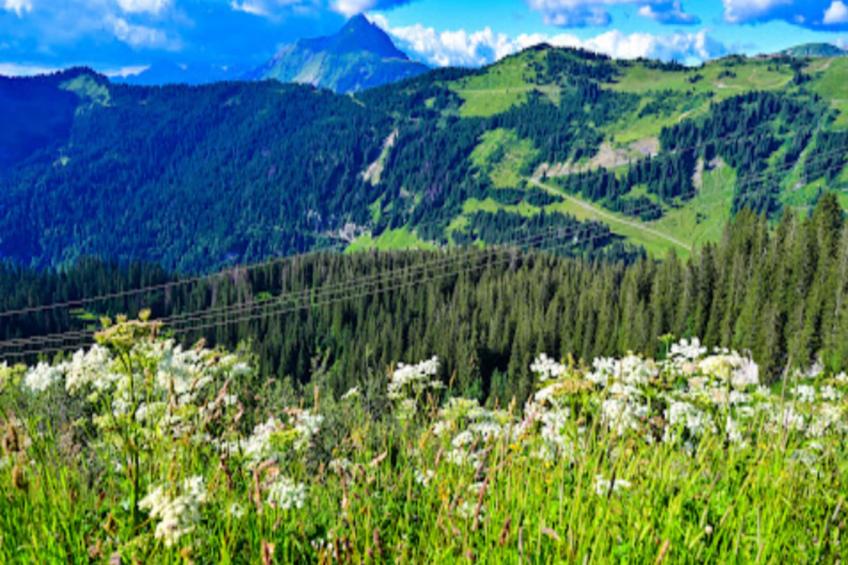 Résidence Quartier Falaise - maeva Home - foto 12