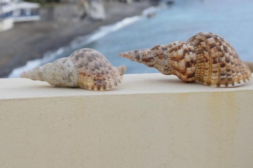 Villa mit 3 Schlafzimmern in einem abgelegenen Dorf - foto 6