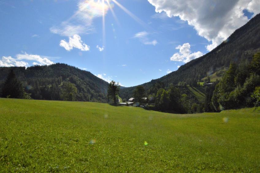 Bienenheim - foto 9
