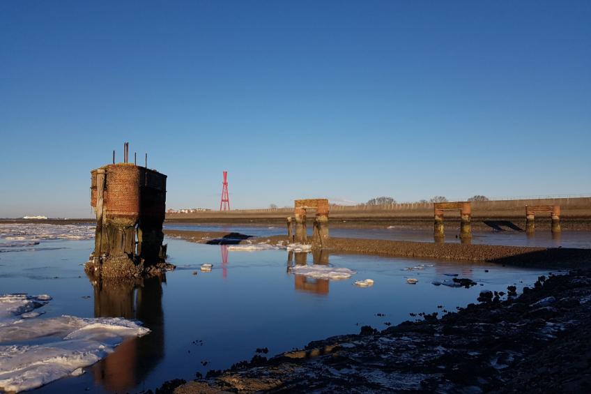G1 Eingezäuntes Haus mit Kamin in Eckwarderhörne - foto 36