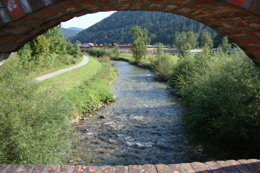 Haus König FEWO - foto 17