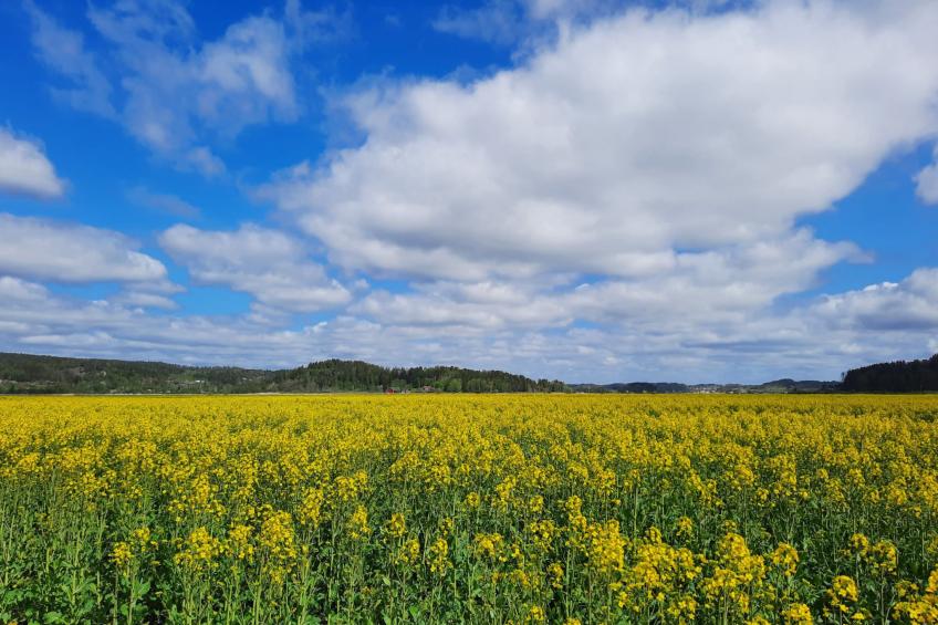 Bauernhaus-Wohnung bei Göta Älv in der Nähe von Göteborg - foto 40