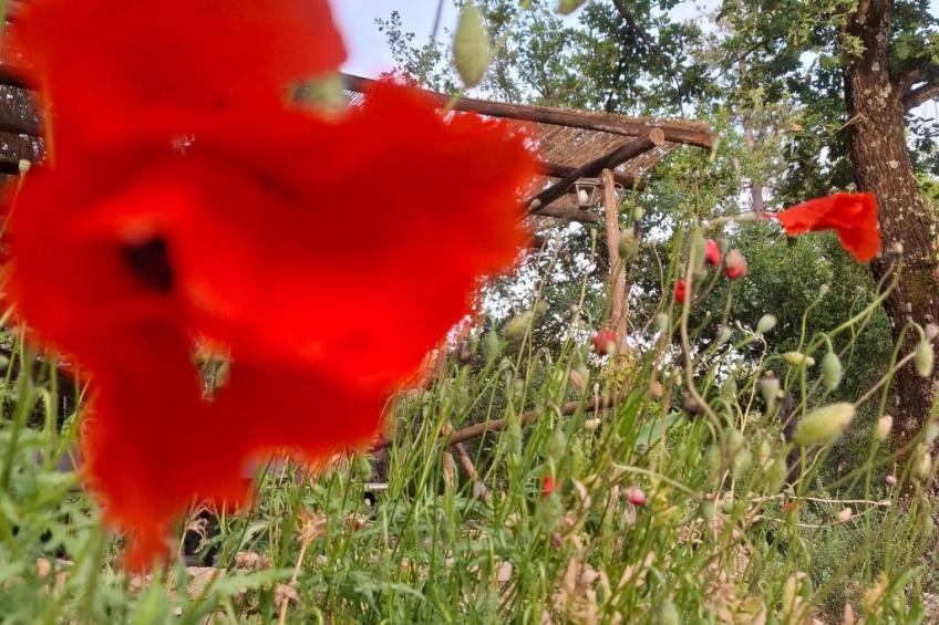 Ein-Zimmer-Wohnung in einem Bauernhaus - foto 23