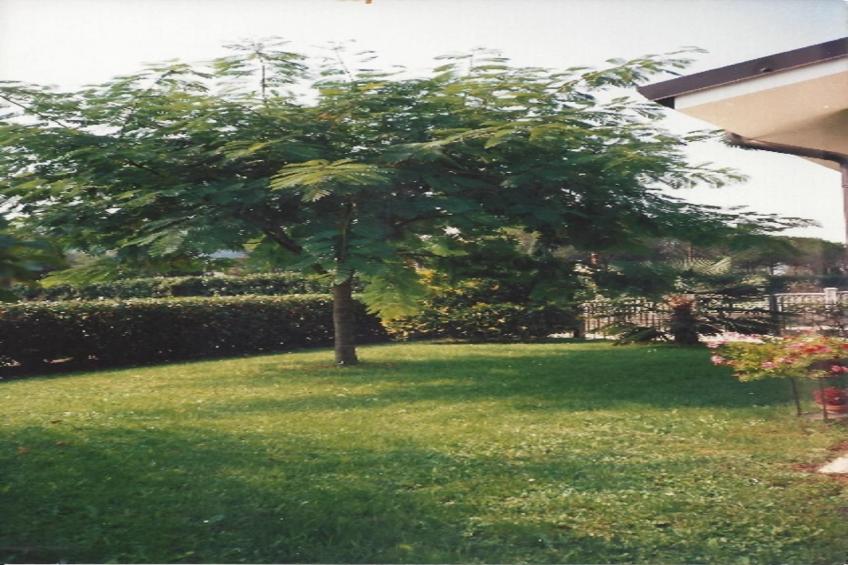 Casa Travesio - foto 29