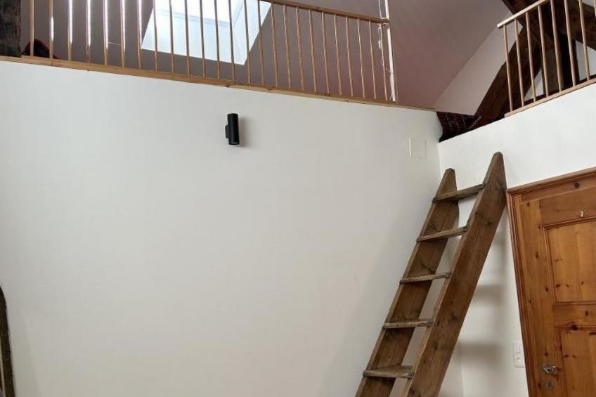 Chesa Delfins - foto 22