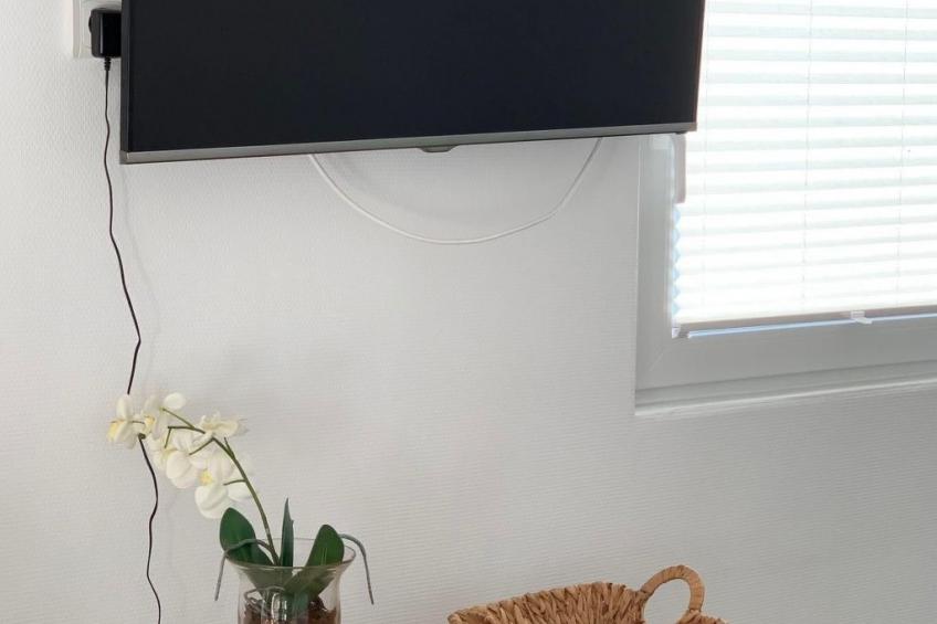 De Wickinger - foto 4