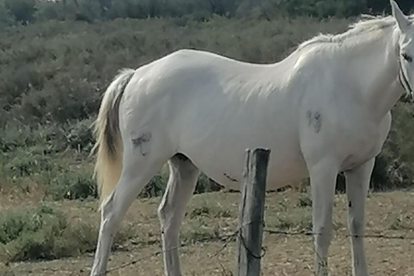 Maison Bleu - foto 45