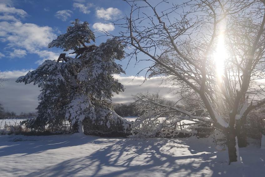 Ardennes Bleu 8 pers maximum - foto 23