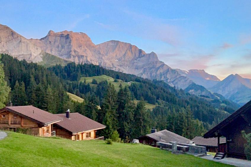 Chalet Bärgblüemli - foto 22