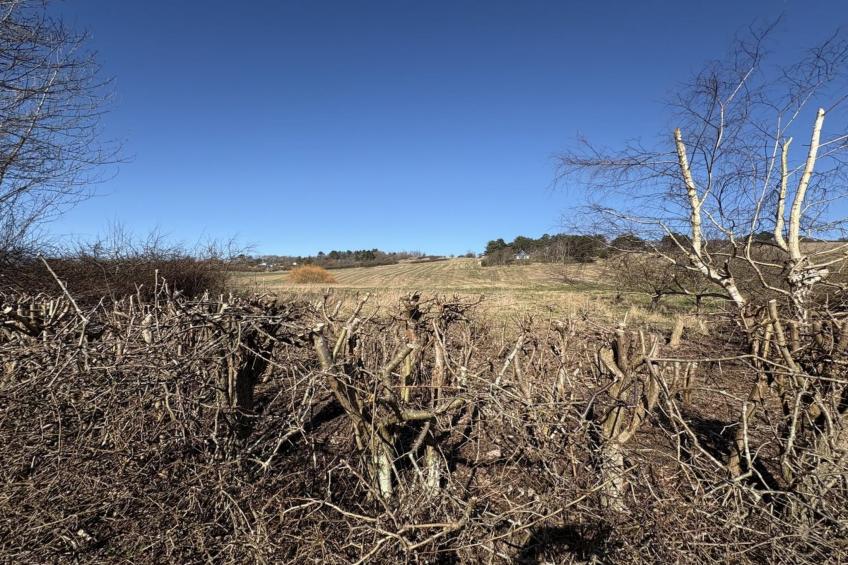 "Euphemia" - 200m from the sea - foto 5