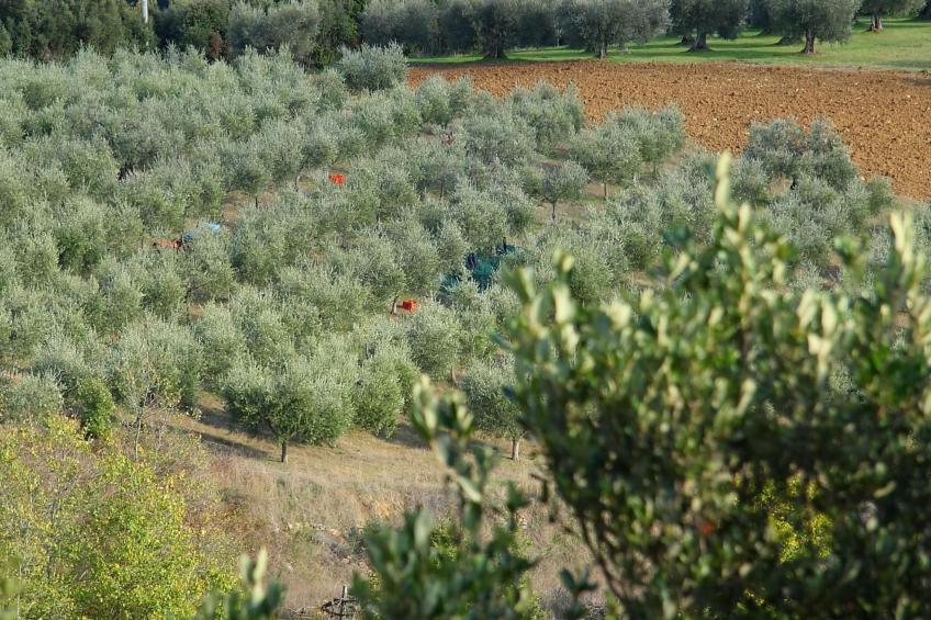 Gemütliches Studio im Erdgeschoss, mit Terrasse - foto 15
