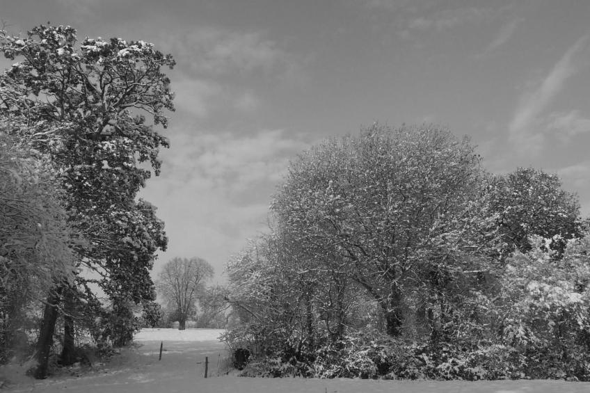 Kleines Studio auf dem Land für 2 Personen - foto 26
