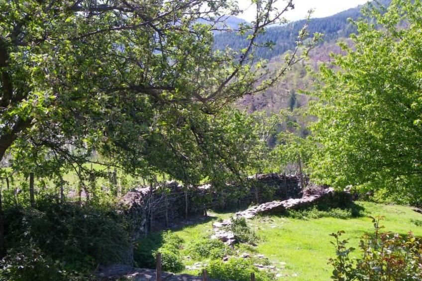 Wohnung "Saint Andre de Lancize" mit Terrasse - foto 15