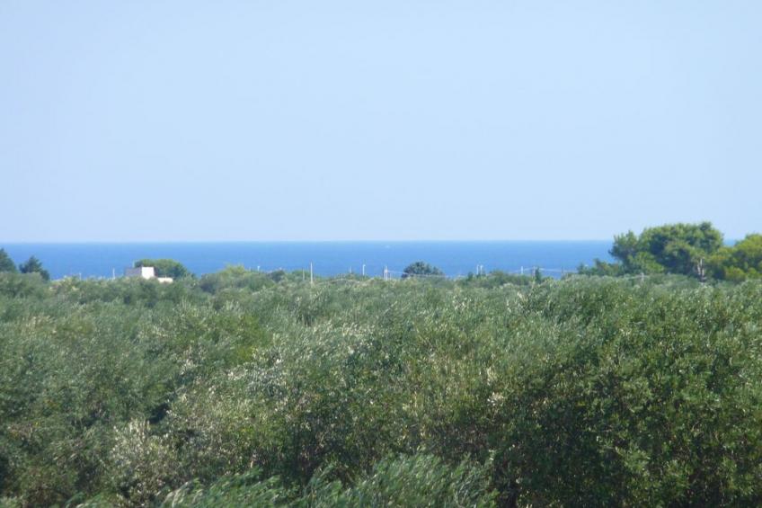 119818 - foto 5