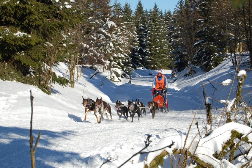 Thüringer Landhaus - foto 30