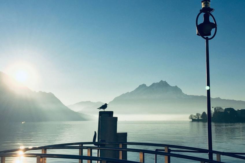 Chalet Bärgblick - foto 33