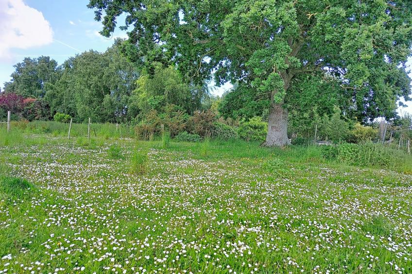 Les Cerisiers - foto 51