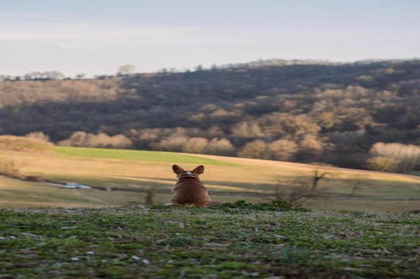 Castello di Robella - foto 27