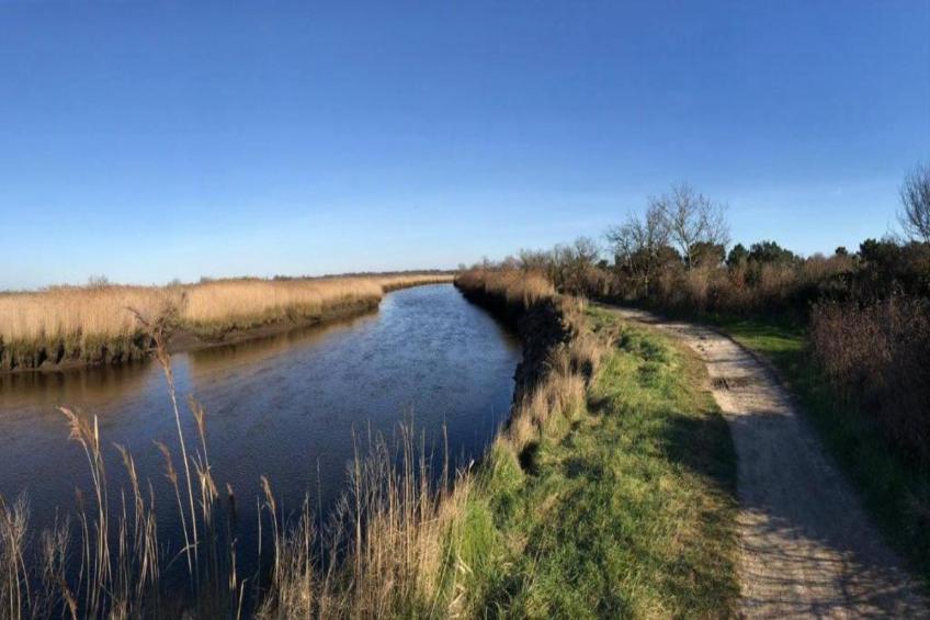 Les Rives Marines - foto 33