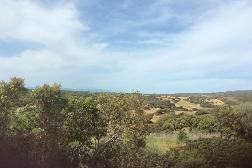 Stazzo Dell'Antica Trebbia in Gallura - foto 9