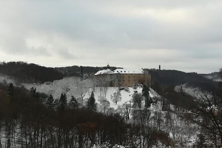 249960 - foto 17