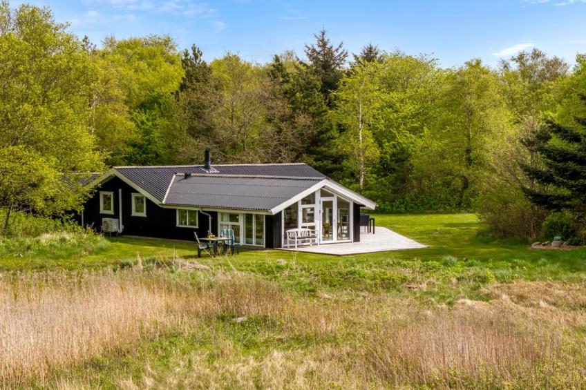 "Eske" - 200m to the inlet in The Liim Fiord