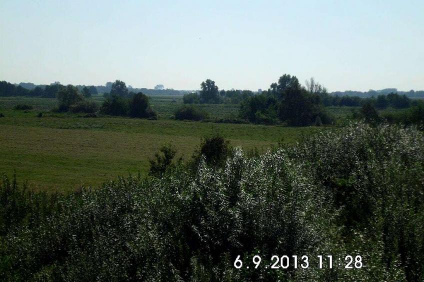 142950 - foto 40