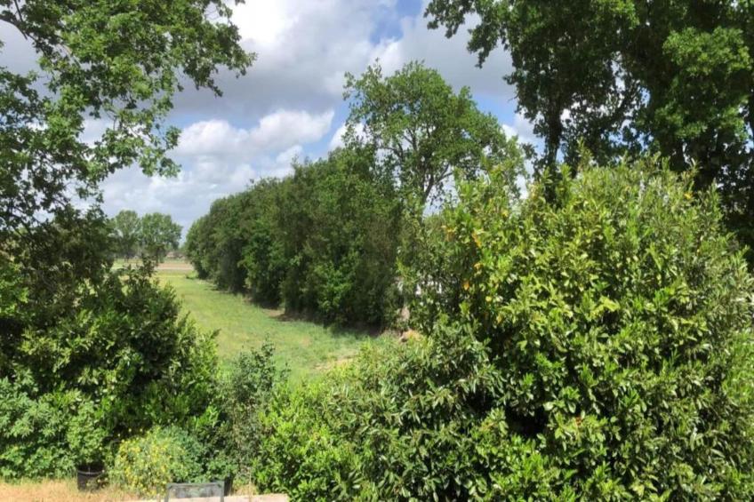 Vakantiepark de Noordster 1 - foto 23