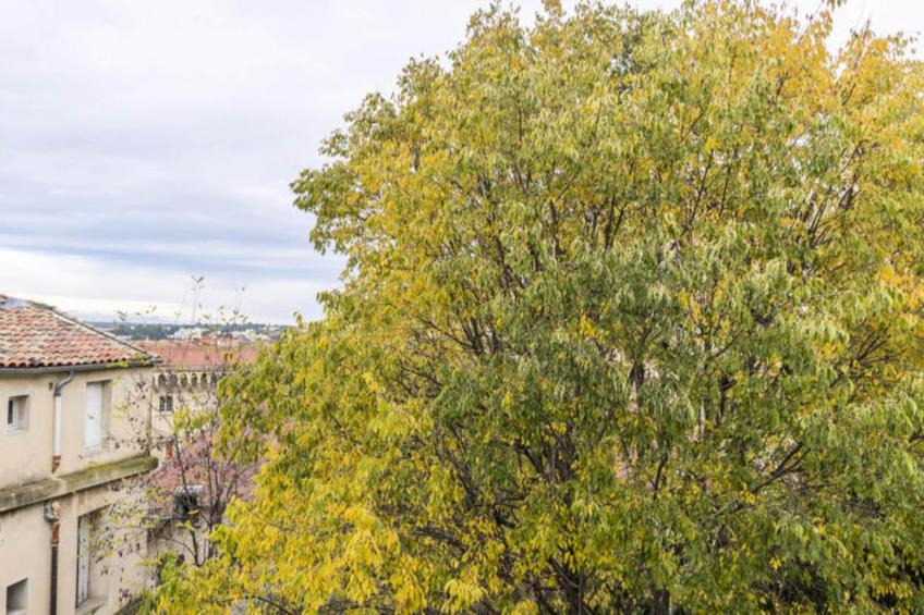 Appartements à Montpellier - foto 23