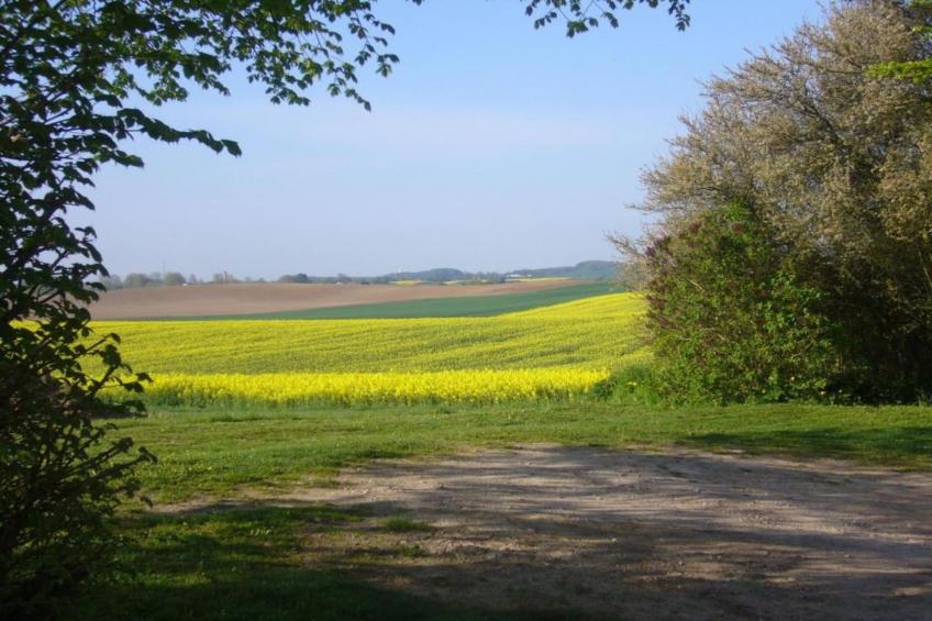"Schöne Aussichten" Gerdshagen - foto 34