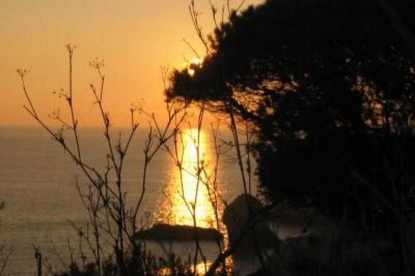 Einzigartige Lage, atemberaubende Aussicht, Leben in der Natur. - foto 10