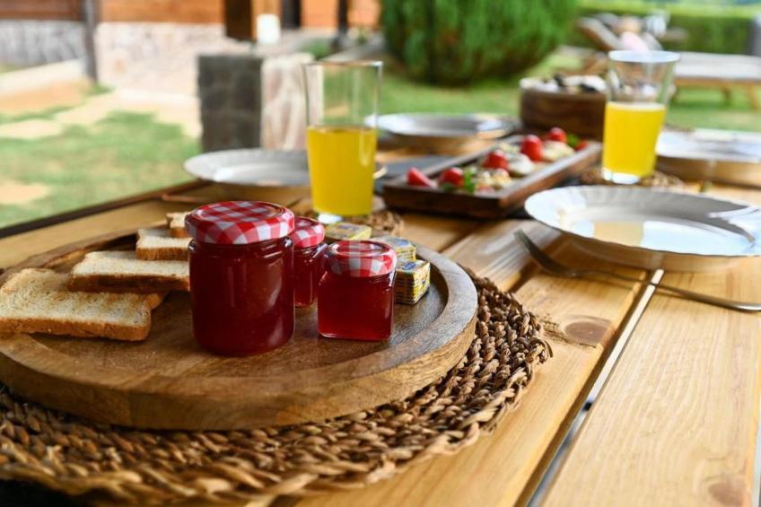 Lavanda Land - Villa Tanya Mrežnica - Three Bedroom Holiday Home with Hot Tub - foto 45