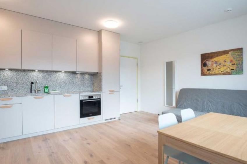 ZH Yellow 5 - Letzigrund HITrental Apartment - foto 13