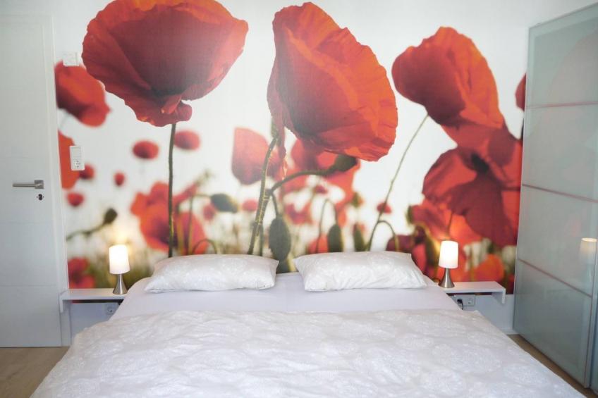 Wiesenblick 5 - foto 12