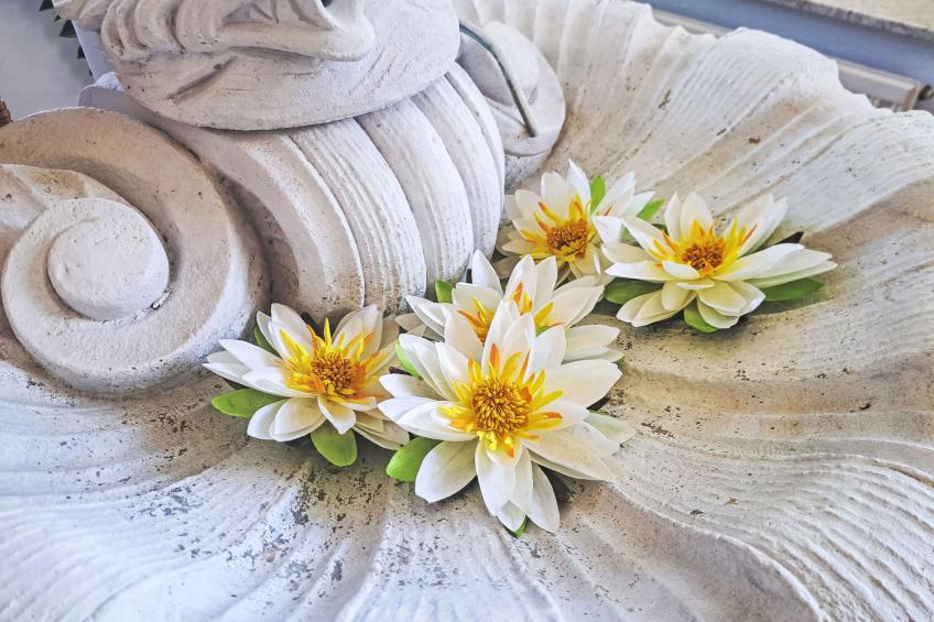 Villa Rose - foto 43