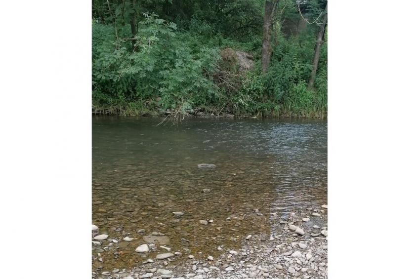 403587 - foto 24
