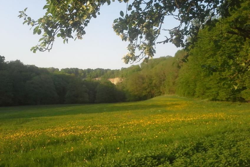 230305 - foto 22
