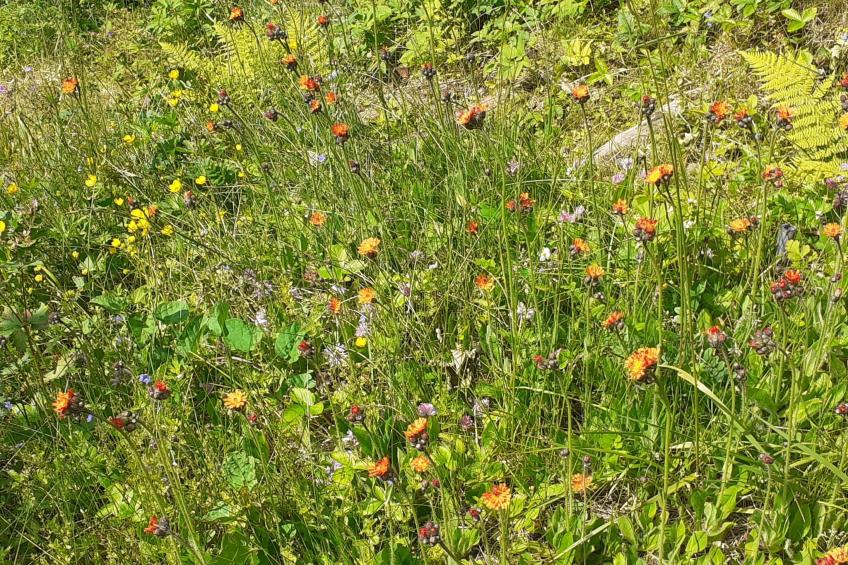 für 6 Personen im Thüringer Wald - foto 33