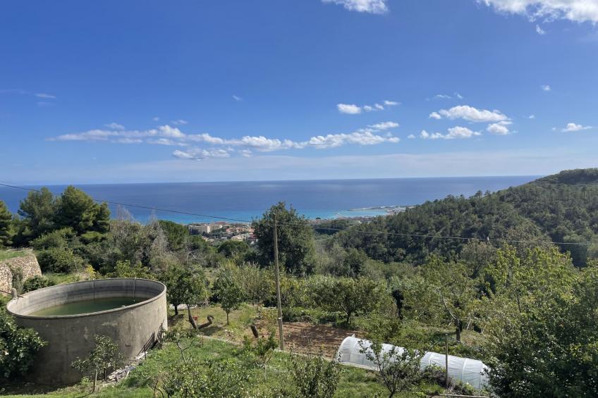 del Pernambuco - foto 11