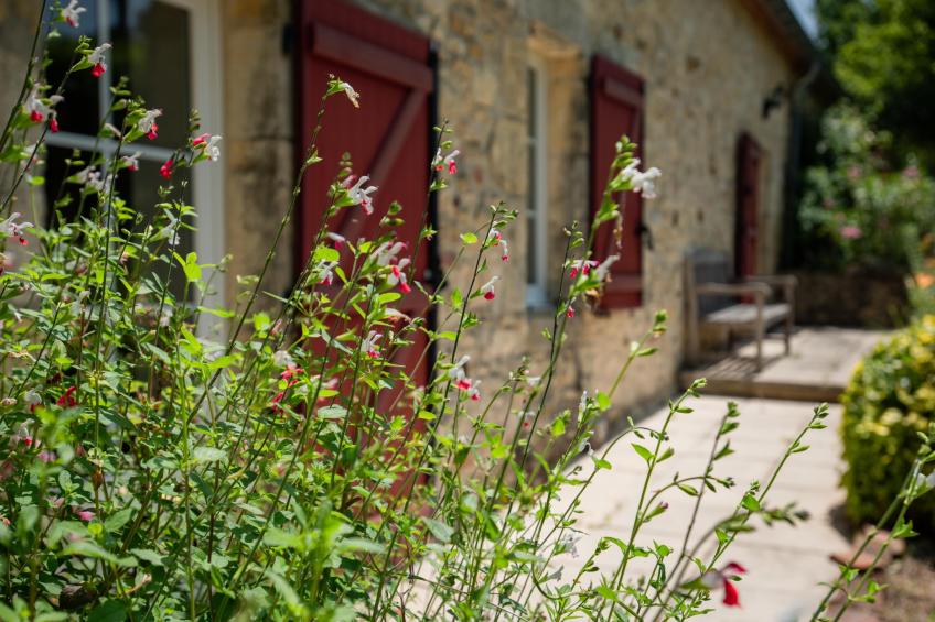 Grande gite Saint Martin le Redon - foto 17