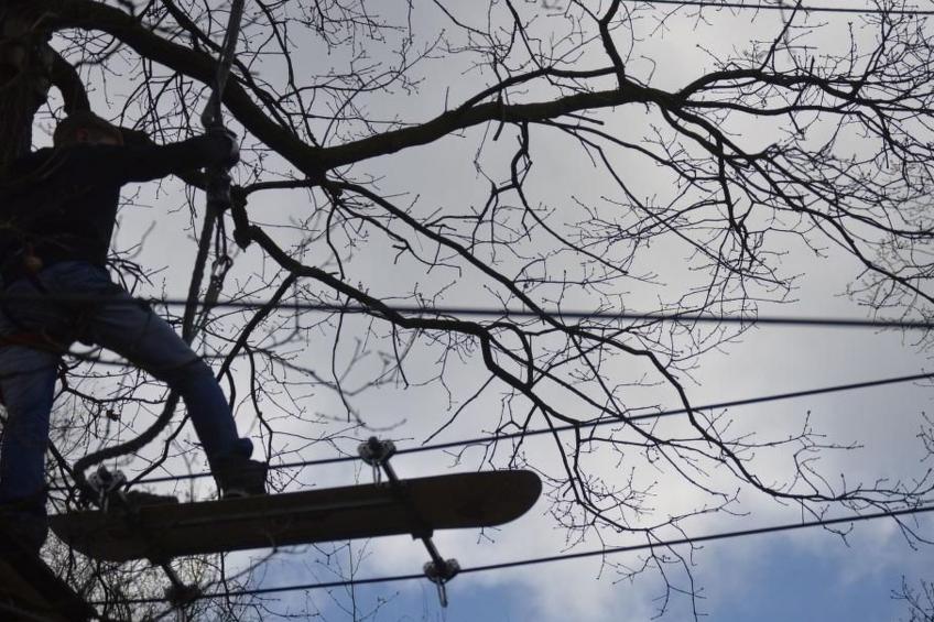 Storchennest - foto 26