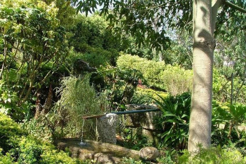 Finca "Quinta do Bento Novo" - foto 10